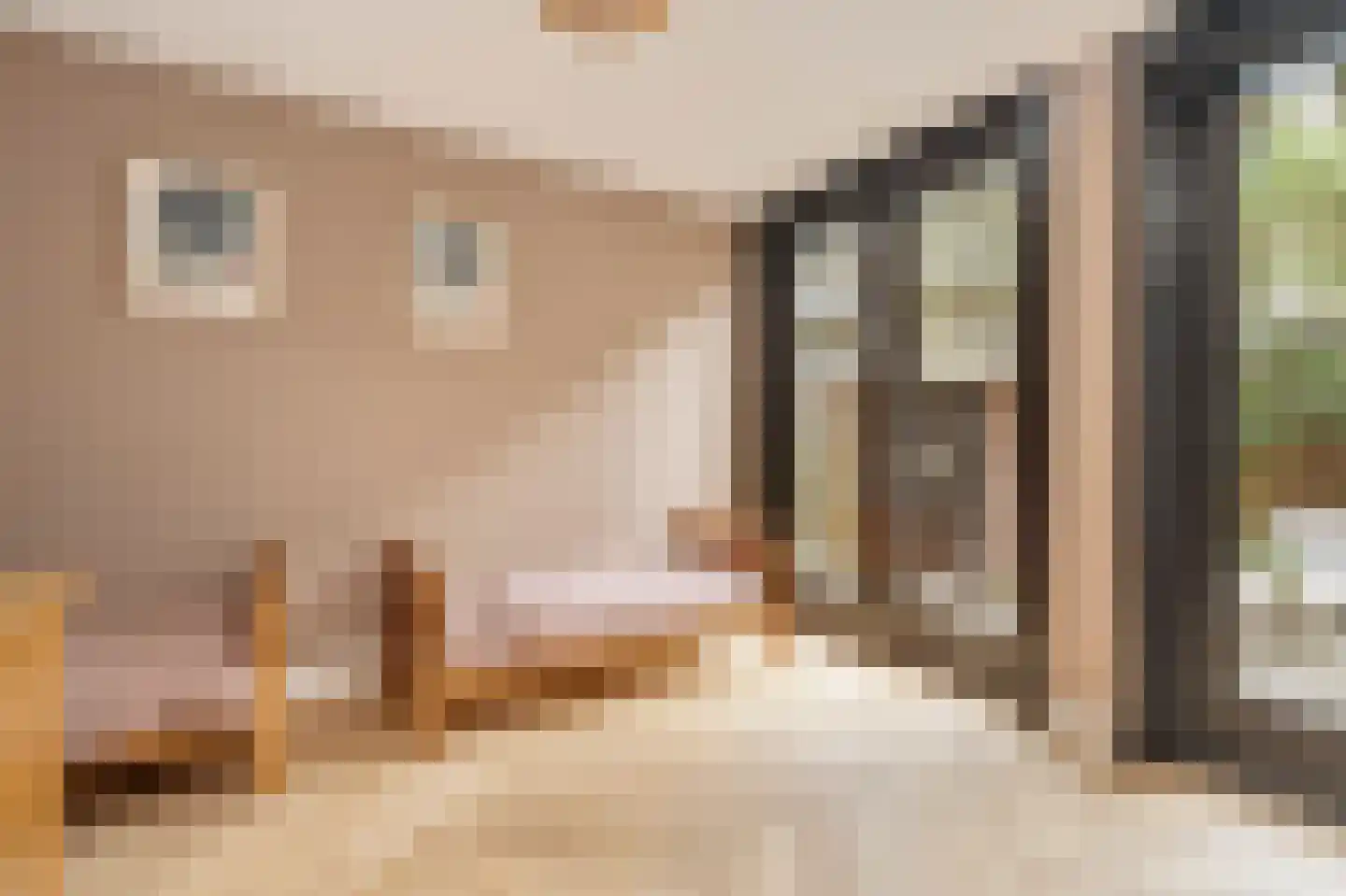 Orteliuskade 49 2 Amsterdam thumbnail 18