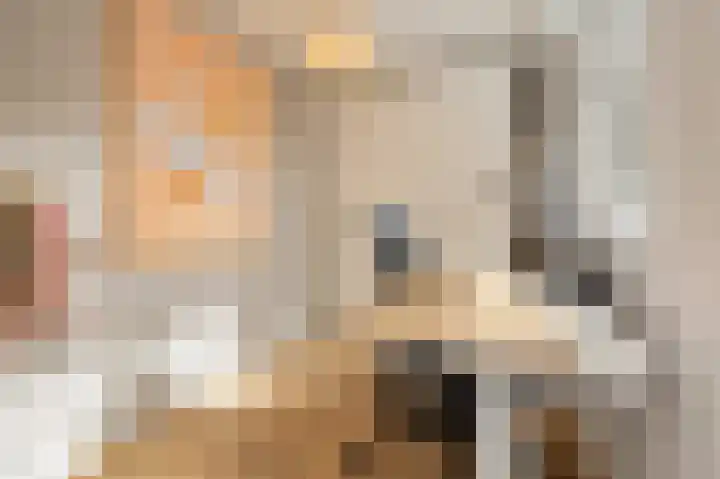 Orteliuskade 49 2 Amsterdam thumbnail 30