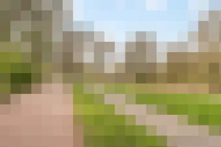 Orteliuskade 49 2 Amsterdam thumbnail 32