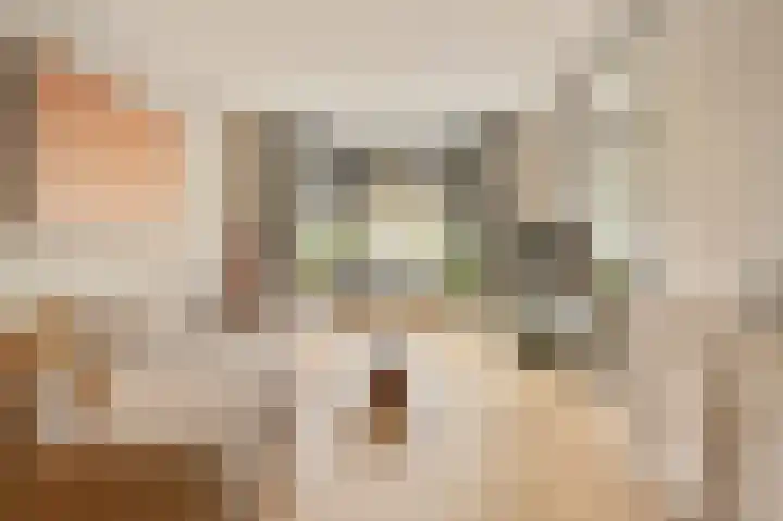 Orteliuskade 49 2 Amsterdam thumbnail 4