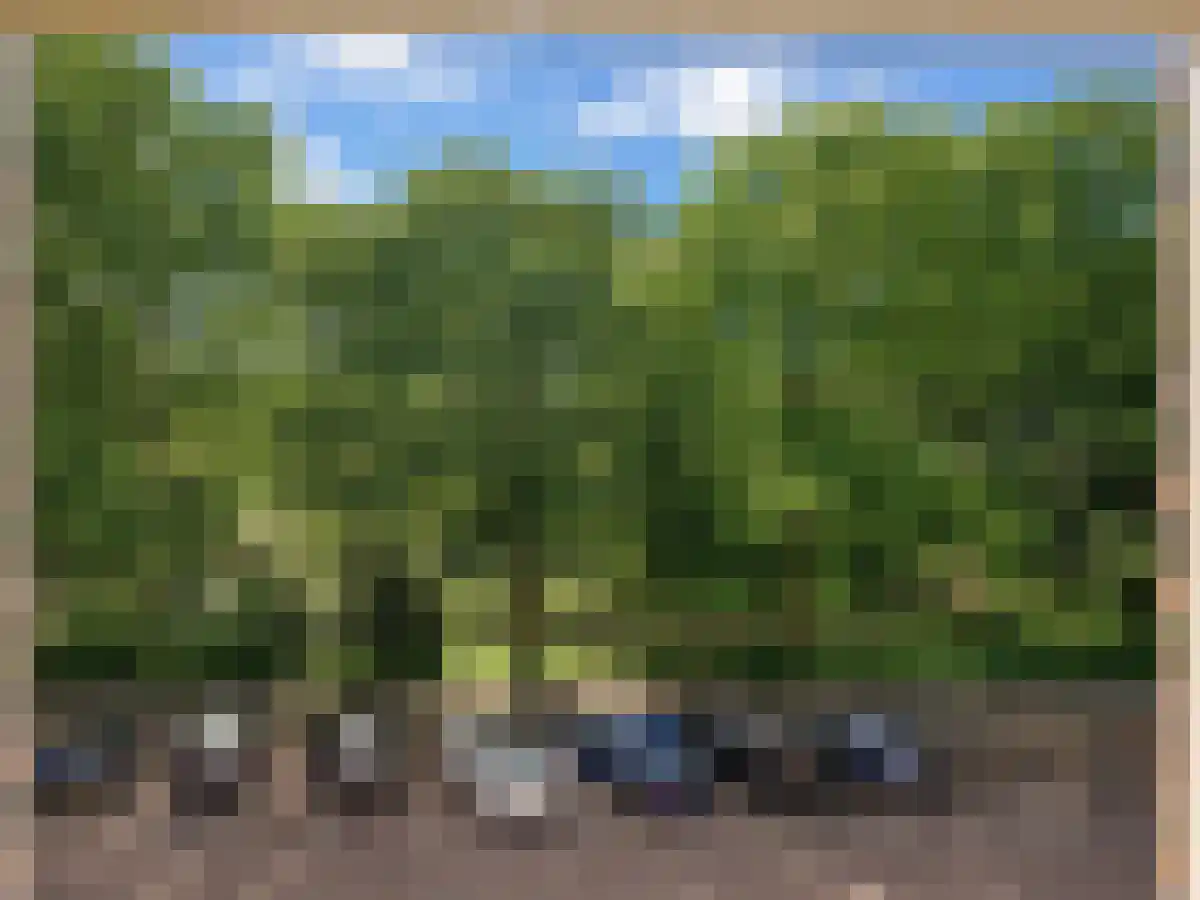 Orteliuskade 49 Amsterdam thumbnail 4