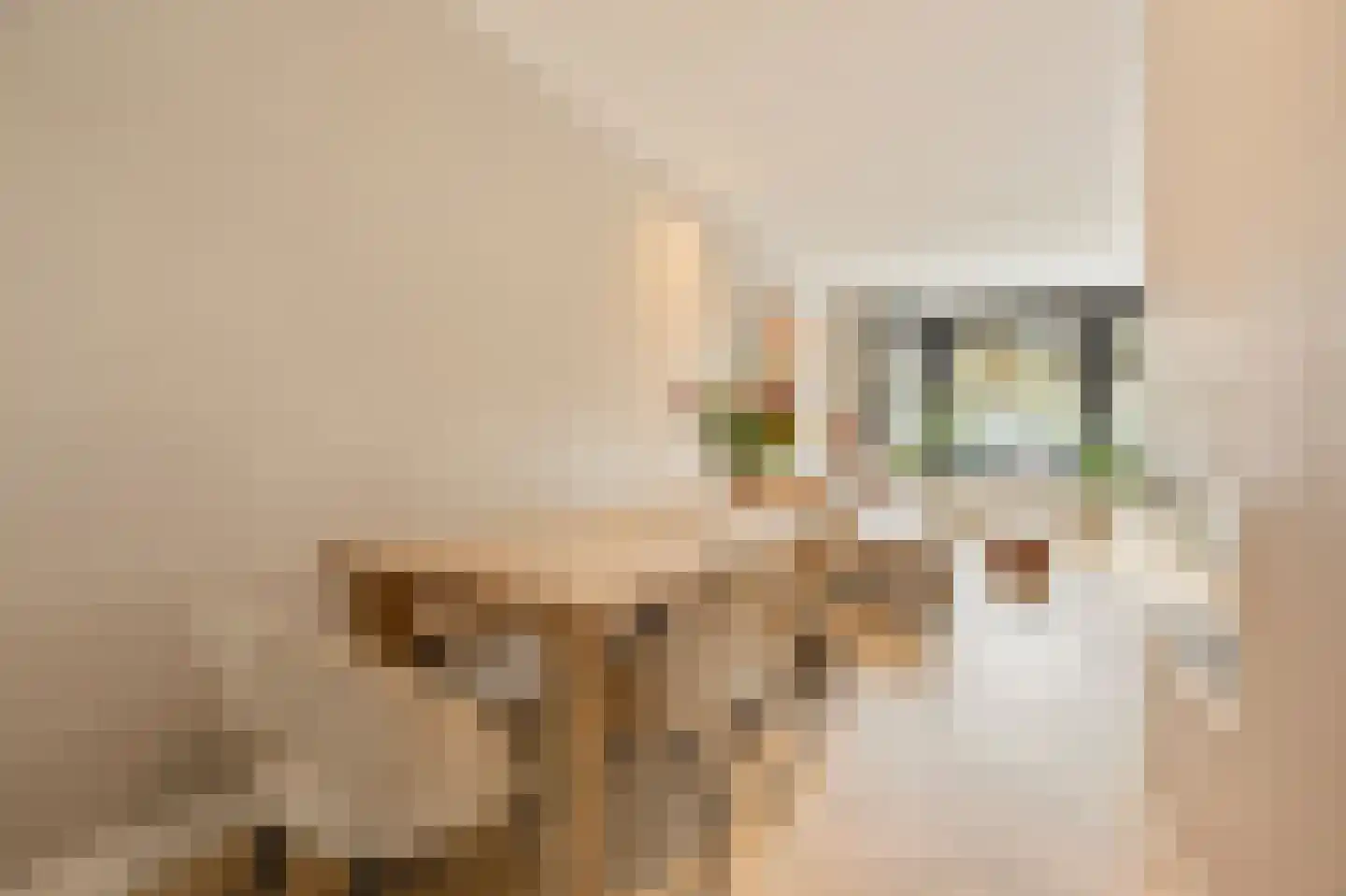 Orteliuskade 49 H Amsterdam thumbnail 12