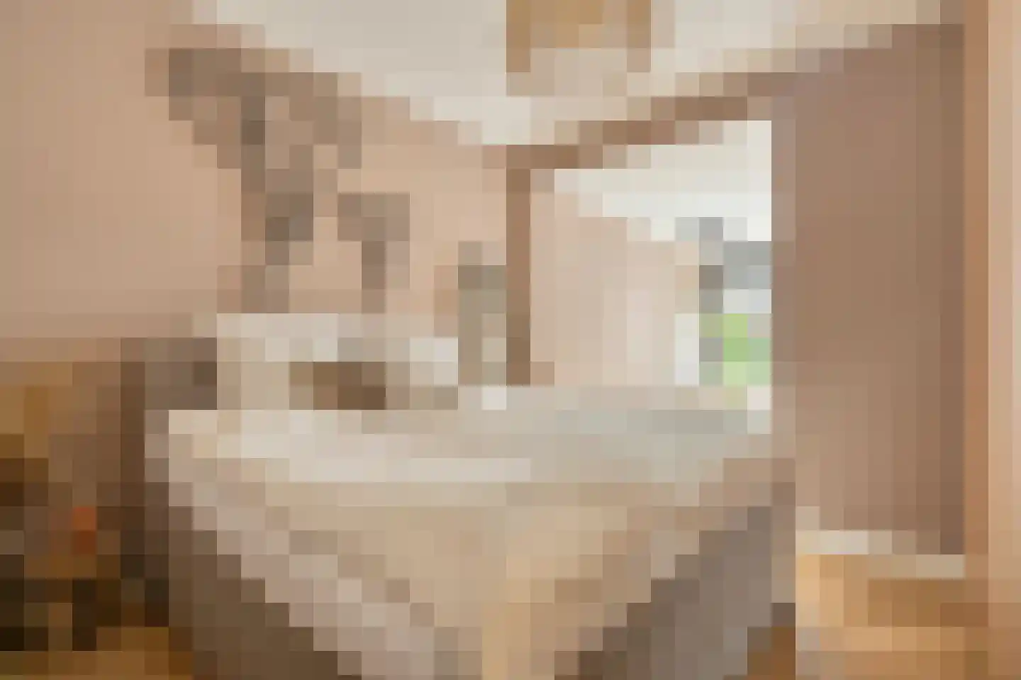 Orteliuskade 49 H Amsterdam thumbnail 13