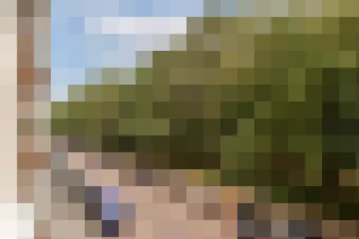 Orteliuskade 54 H Amsterdam thumbnail 6