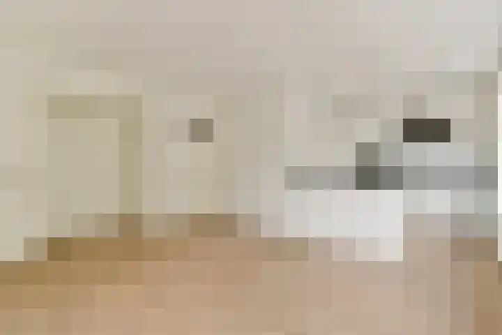 Orteliuskade 54 H Amsterdam thumbnail 7
