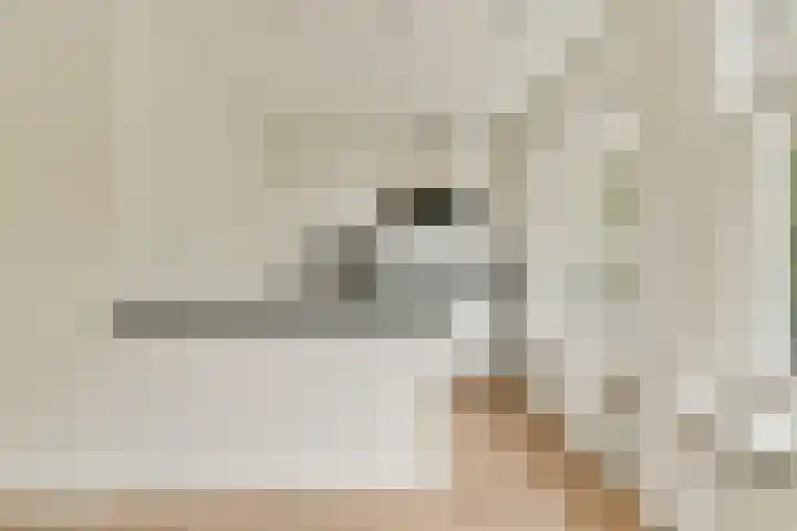 Orteliuskade 54 H Amsterdam thumbnail 8