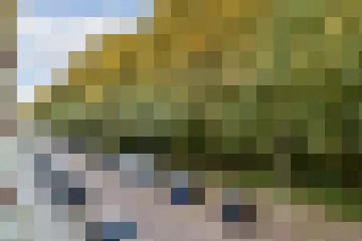 Orteliuskade 56 1 Amsterdam thumbnail 14