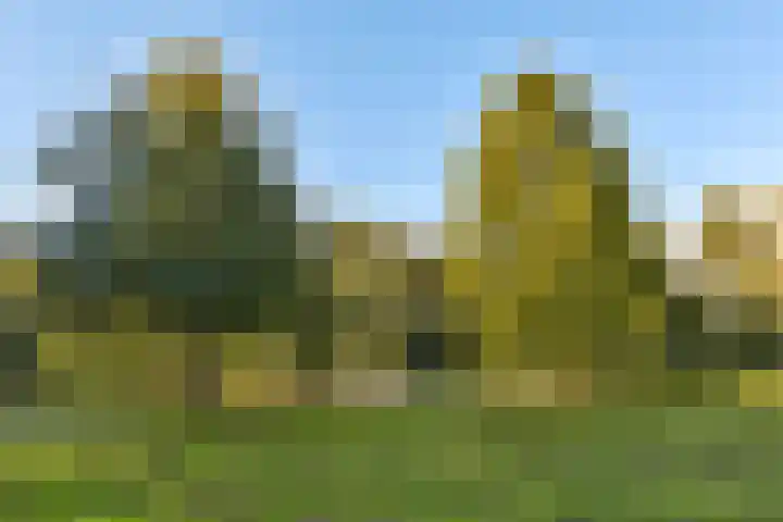 Orteliuskade 56 1 Amsterdam thumbnail 20