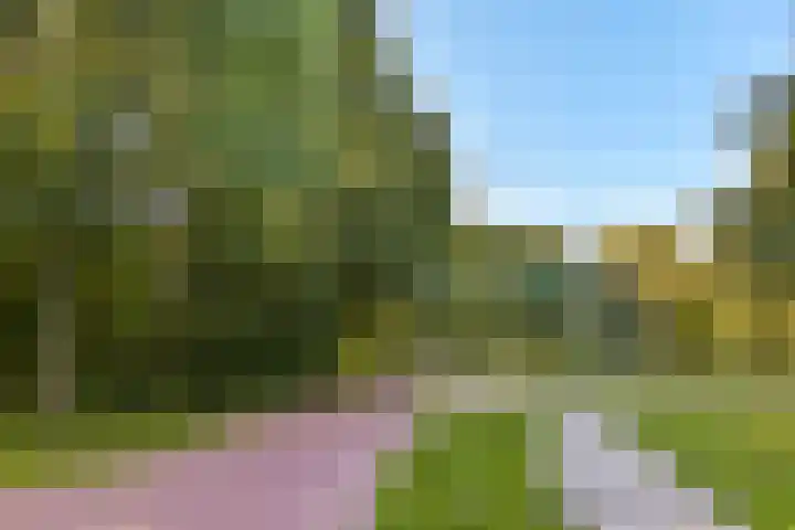 Orteliuskade 56 1 Amsterdam thumbnail 21