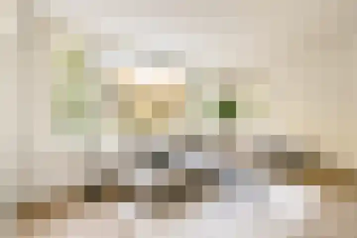 Orteliuskade 56 1 Amsterdam thumbnail 7