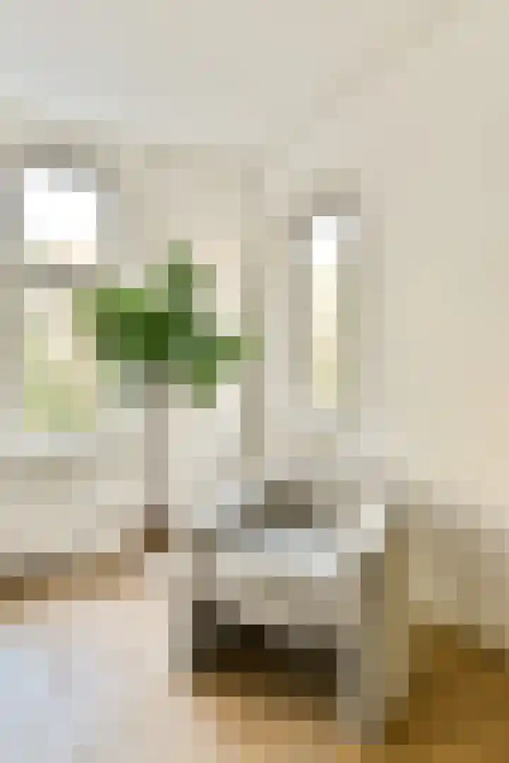 Orteliuskade 56 1 Amsterdam thumbnail 8