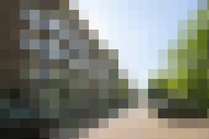 Orteliuskade 59 2 Amsterdam thumbnail 30