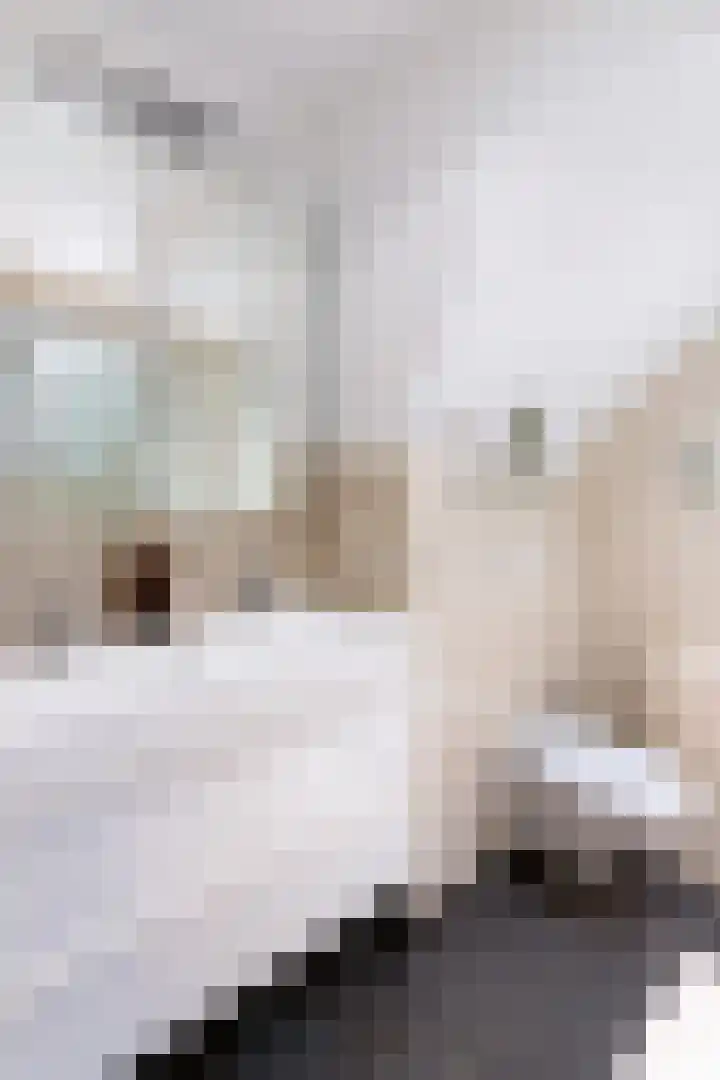 Orteliuskade 69 H Amsterdam thumbnail 17