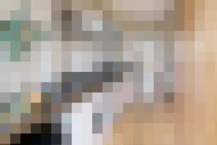 Orteliuskade 69 H Amsterdam thumbnail 22