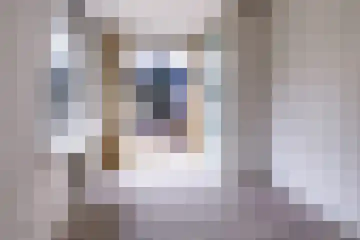 Orteliuskade 69 H Amsterdam thumbnail 38