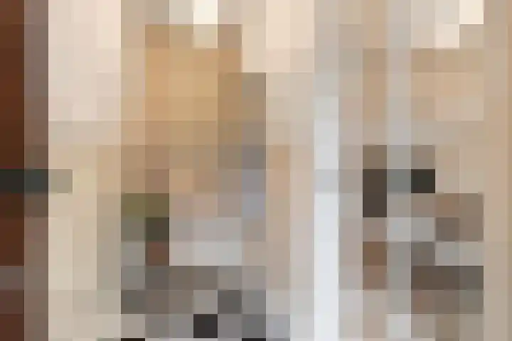 Orteliuskade 69 H Amsterdam thumbnail 4