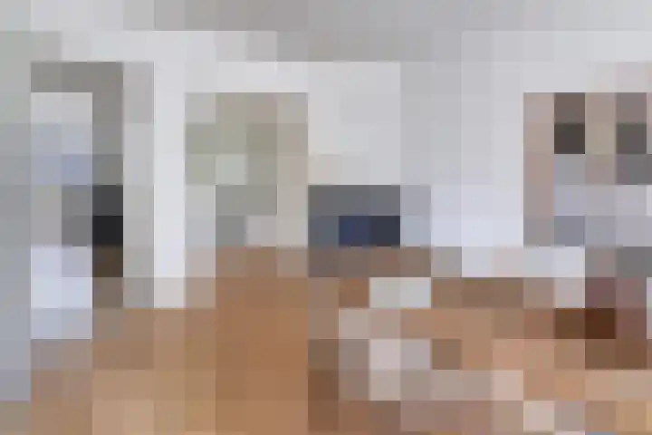 Orteliuskade 69 H Amsterdam thumbnail 7