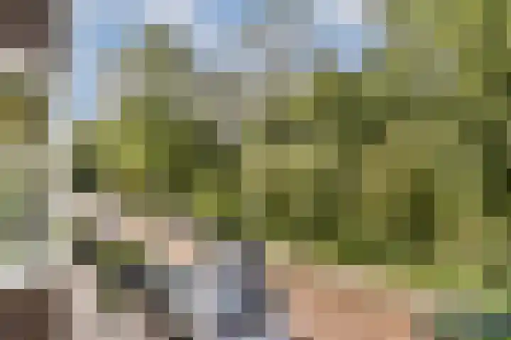 Orteliuskade 70 3 Amsterdam thumbnail 10