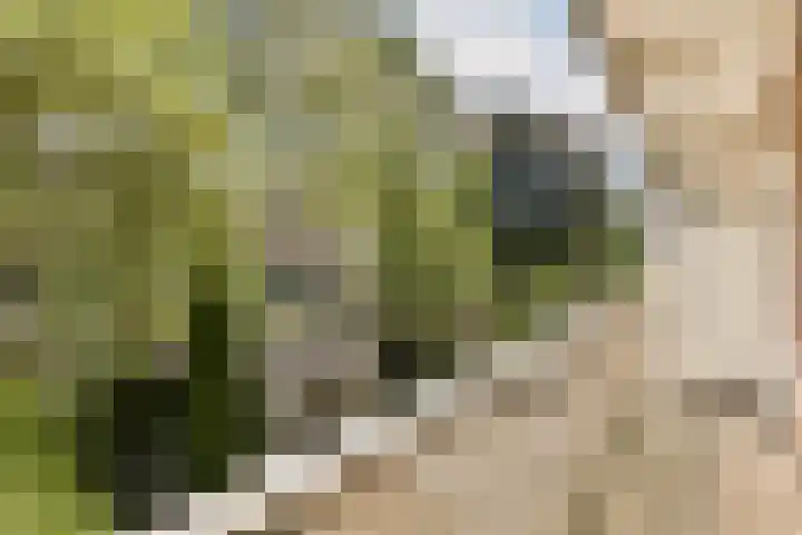 Orteliuskade 70 3 Amsterdam thumbnail 13
