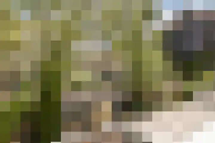 Orteliuskade 70 3 Amsterdam thumbnail 14