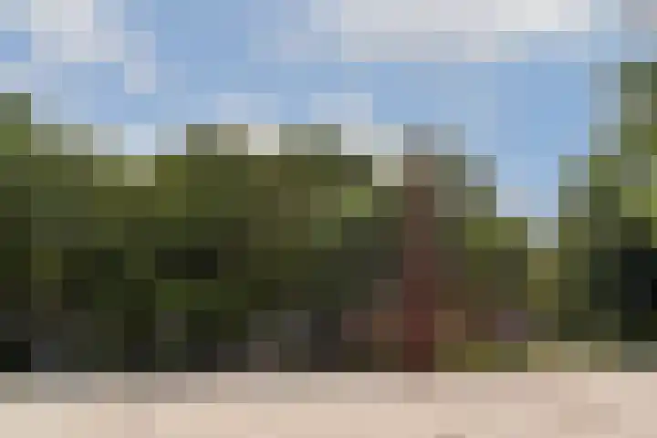 Orteliuskade 70 3 Amsterdam thumbnail 20