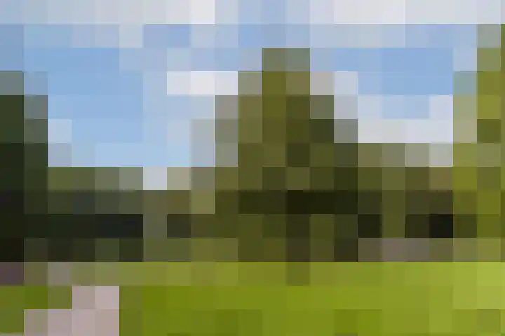 Orteliuskade 70 3 Amsterdam thumbnail 21