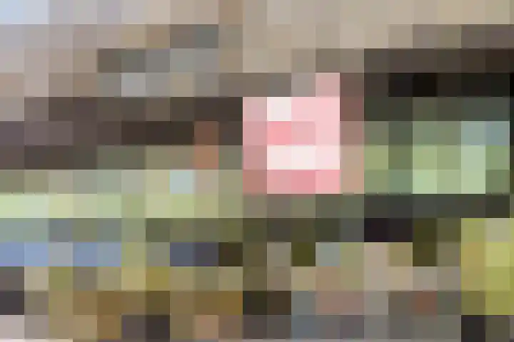 Orteliuskade 70 3 Amsterdam thumbnail 23