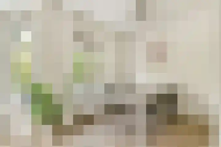 Orteliuskade 70 3 Amsterdam thumbnail 4