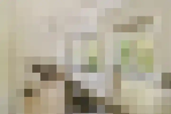 Orteliuskade 70 3 Amsterdam thumbnail 5