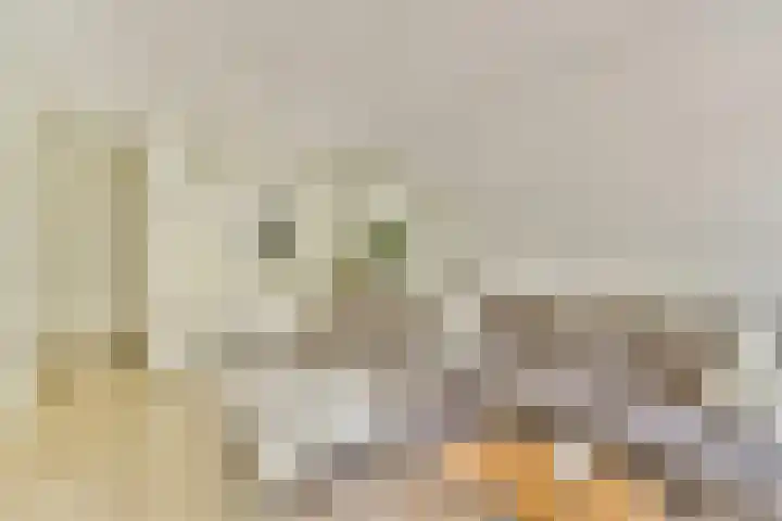 Orteliuskade 70 3 Amsterdam thumbnail 6