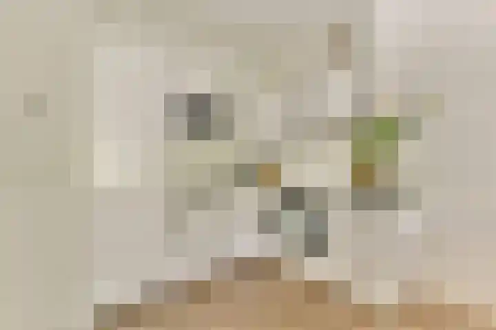 Orteliuskade 70 3 Amsterdam thumbnail 7