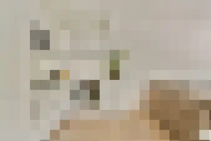 Orteliuskade 70 3 Amsterdam thumbnail 8