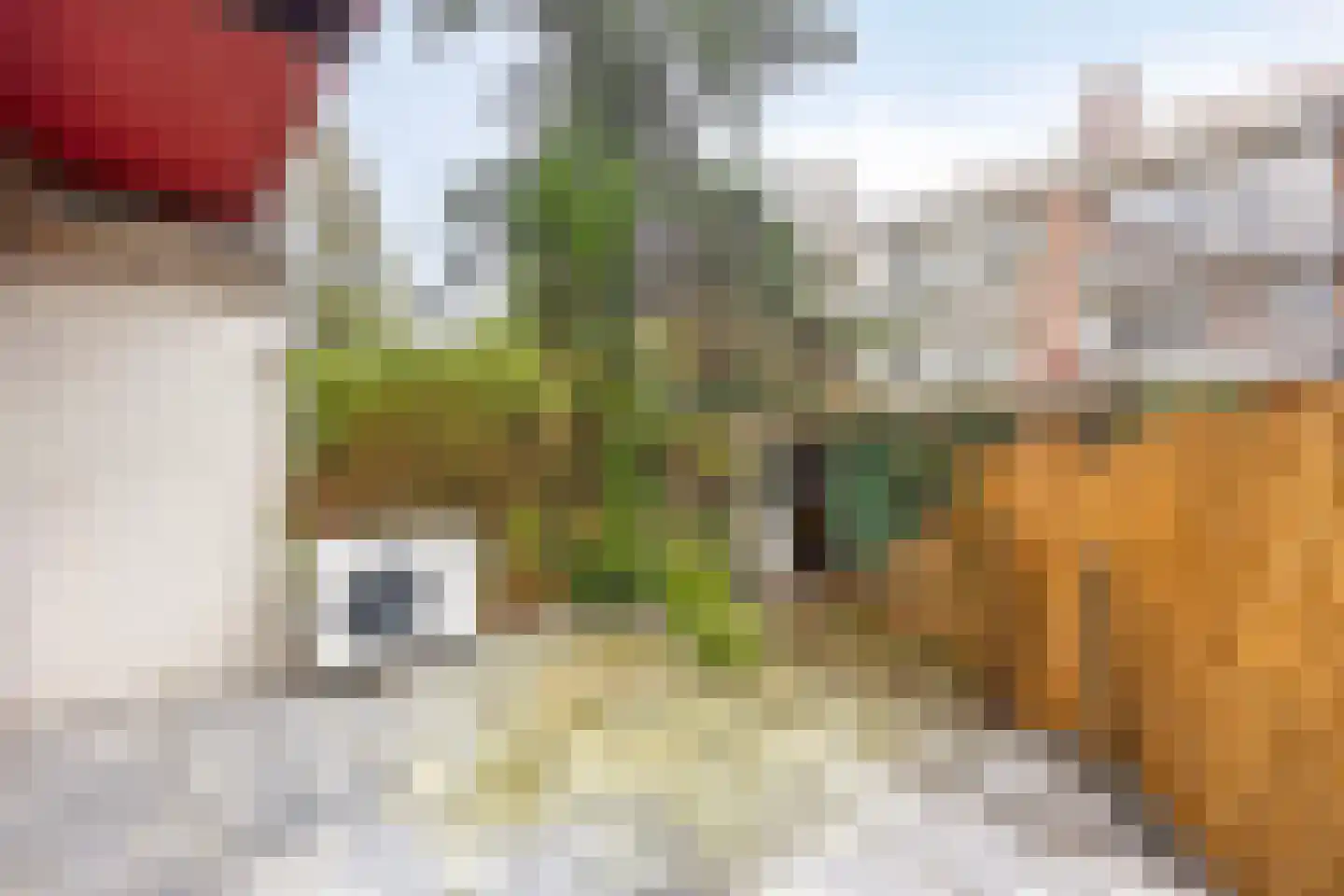 Orteliuskade 8 1 Amsterdam thumbnail 19