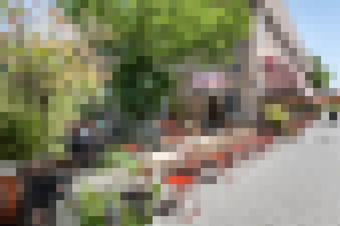 Orteliuskade 8 2 Amsterdam thumbnail 28