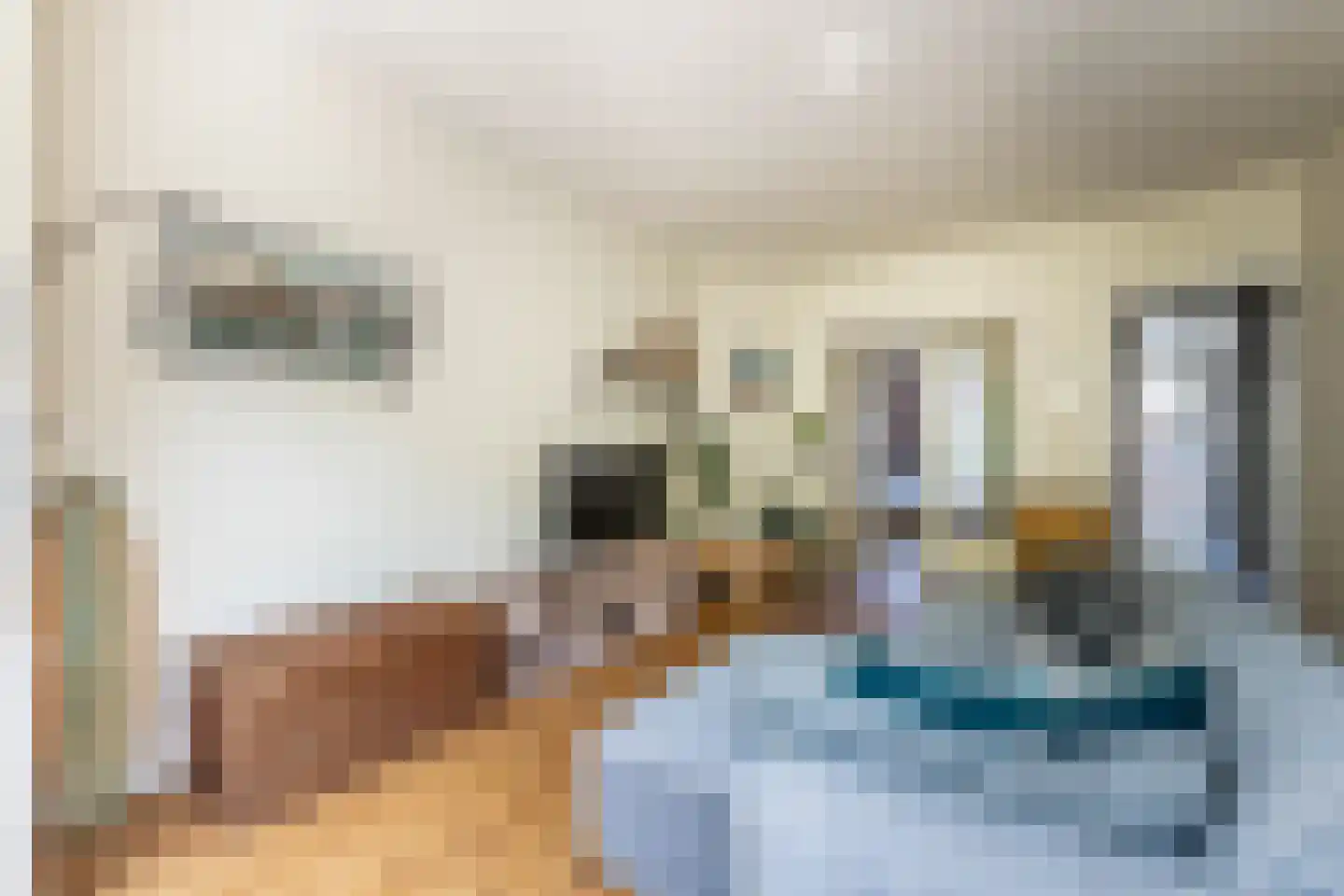 Orteliuskade 8 2 Amsterdam thumbnail 9