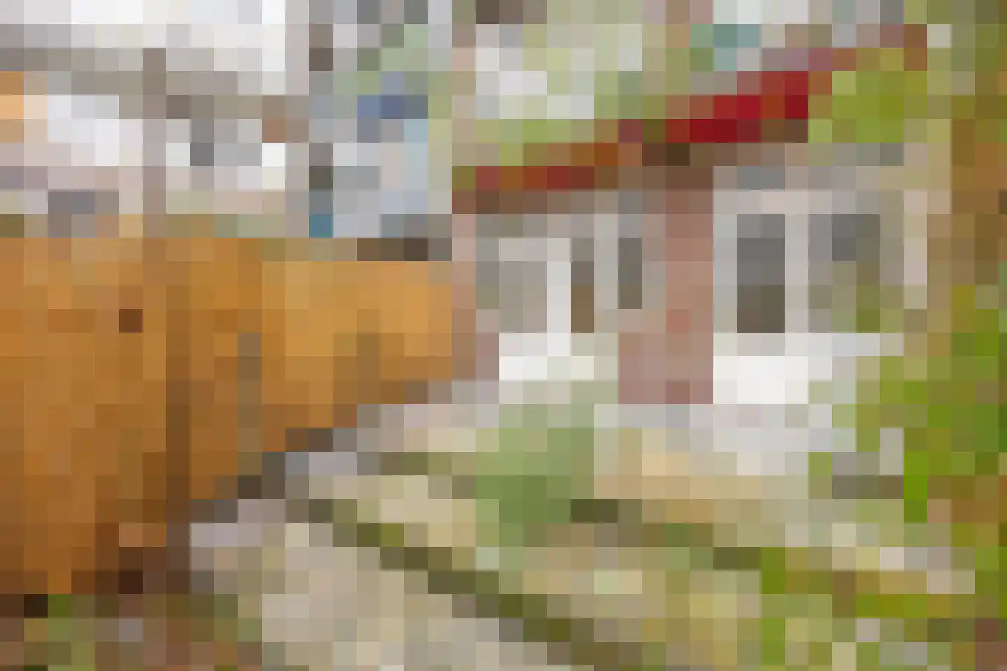 Orteliuskade 8 H Amsterdam thumbnail 17