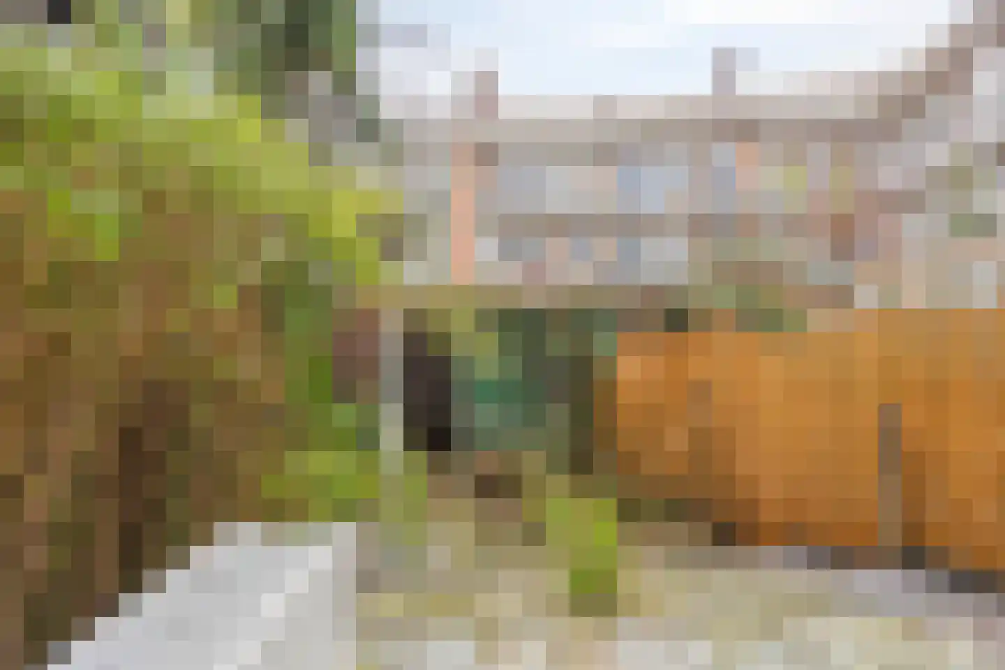 Orteliuskade 8 H Amsterdam thumbnail 18