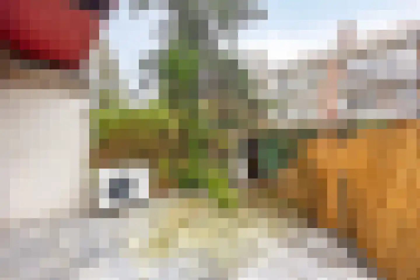 Orteliuskade 8 H Amsterdam thumbnail 19