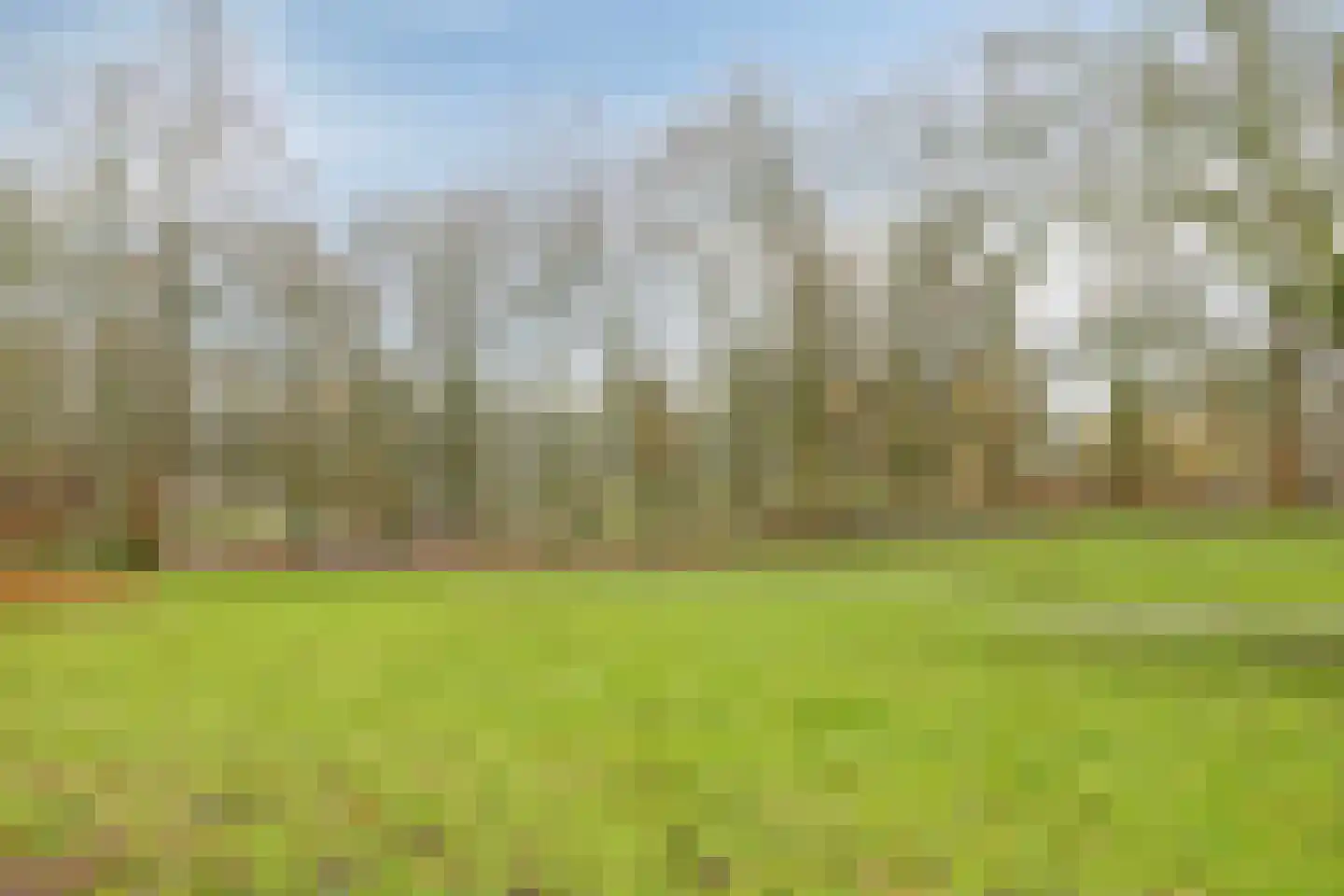 Orteliuskade 8 H Amsterdam thumbnail 26