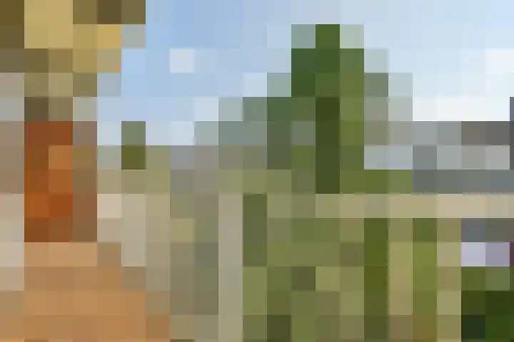 Orteliuskade 9 1 Amsterdam thumbnail 10