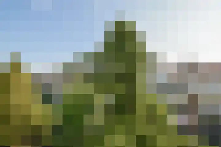 Orteliuskade 9 1 Amsterdam thumbnail 12