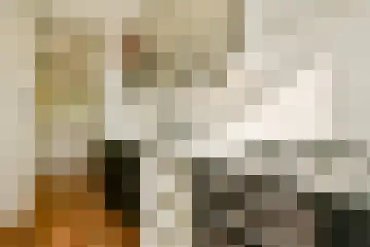 Orteliuskade 9 1 Amsterdam thumbnail 14
