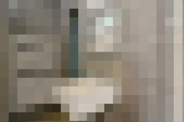 Orteliuskade 9 1 Amsterdam thumbnail 16