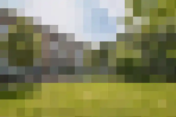 Orteliuskade 9 1 Amsterdam thumbnail 18