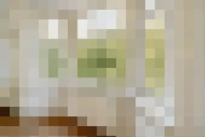 Orteliuskade 9 1 Amsterdam thumbnail 5