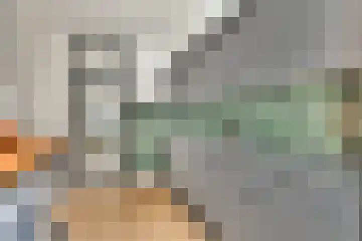 Orteliuslaan 23 Gouda thumbnail 10