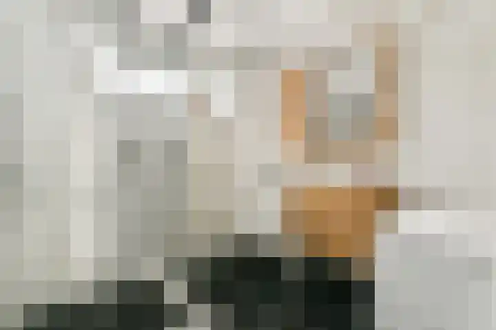 Orteliuslaan 23 Gouda thumbnail 12