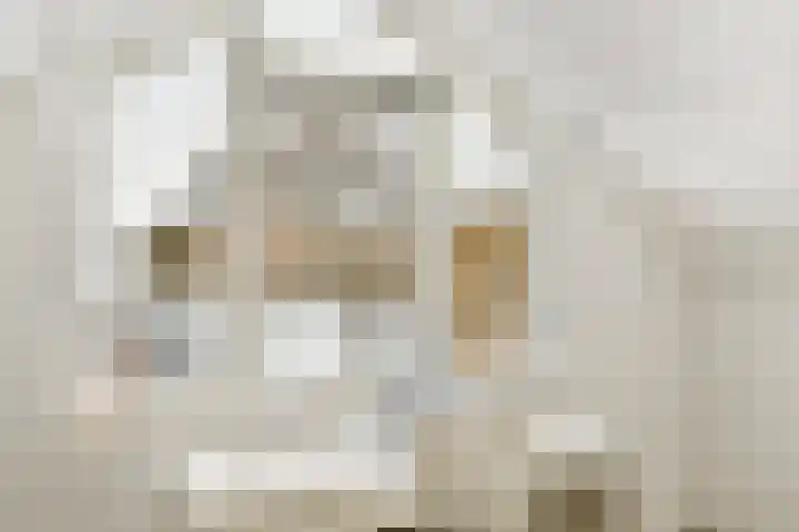 Orteliuslaan 23 Gouda thumbnail 23