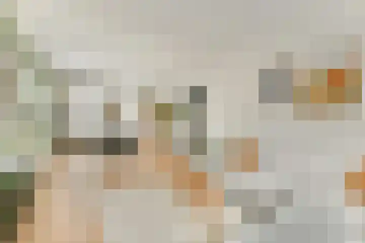 Orteliuslaan 23 Gouda thumbnail 7