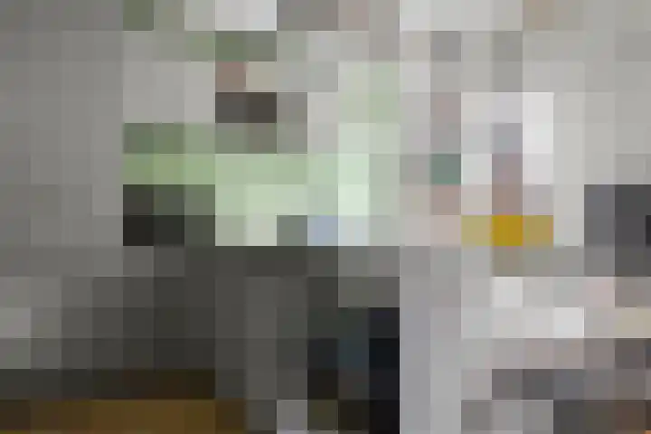 Orteliuslaan 3 Waalwijk thumbnail 11